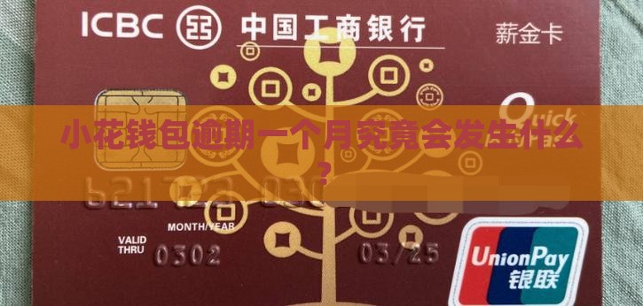 小花钱包逾期一个月会发生什么
