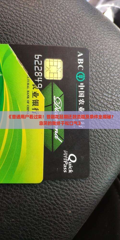普融花延期还款流程及条件解析