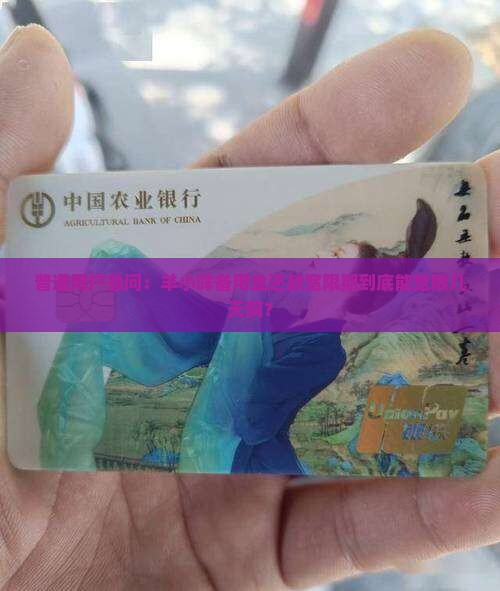 羊小咩备用金还款宽限期是多久