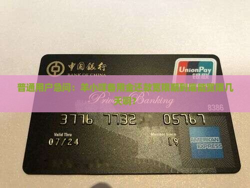 羊小咩备用金还款宽限期是多久