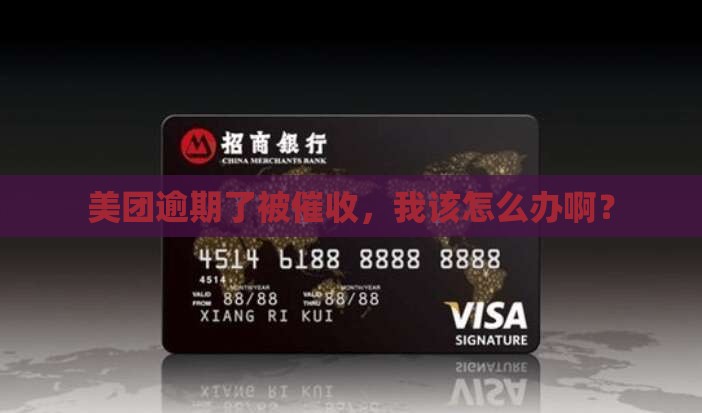 美团逾期被催收怎么办