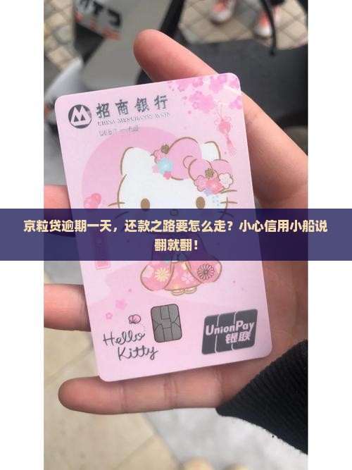 京粒贷逾期一天会怎么样吗