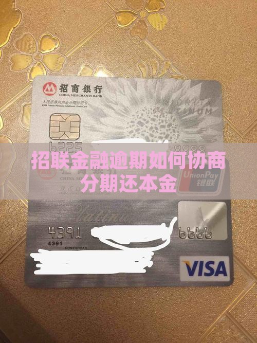 招联金融可以协商分期还本金吗如何操作
