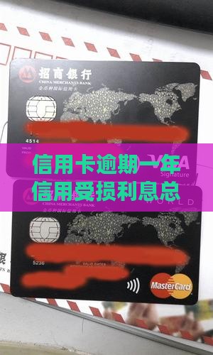 信用卡逾期一年利息多少需要缴纳