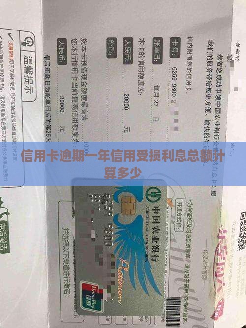信用卡逾期一年利息多少需要缴纳