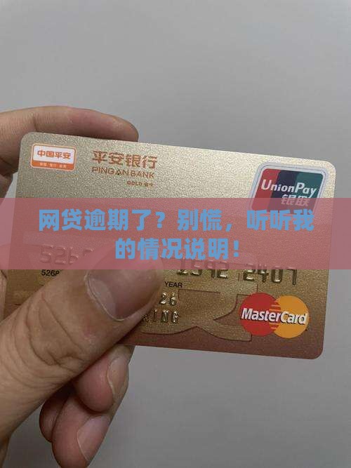 网贷逾期情况说明