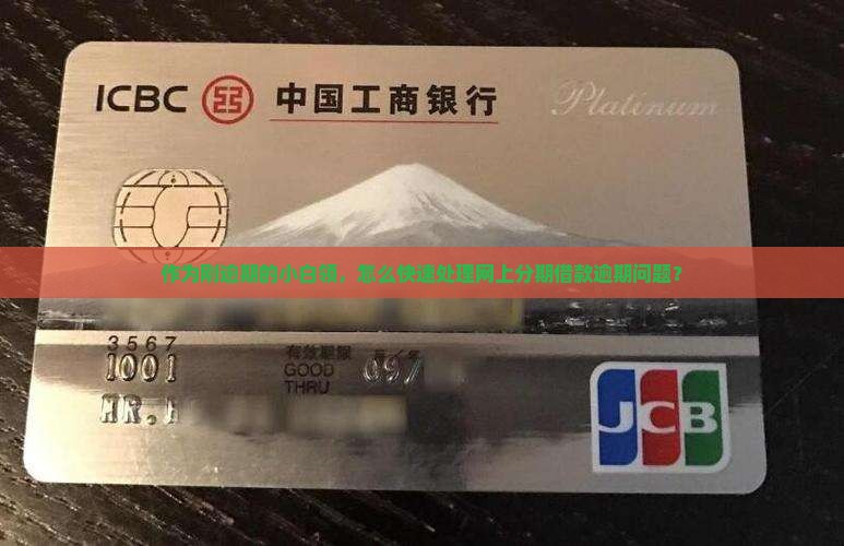 网上分期借款逾期如何处理
