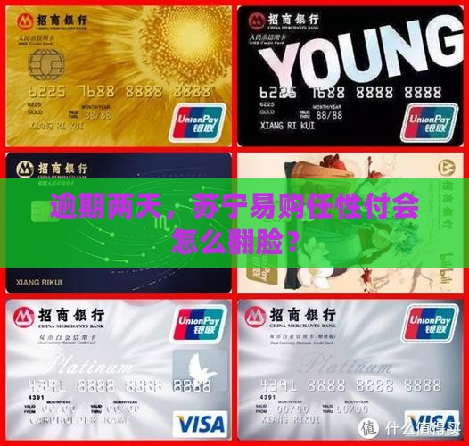 苏宁易购任性付逾期两天会怎样