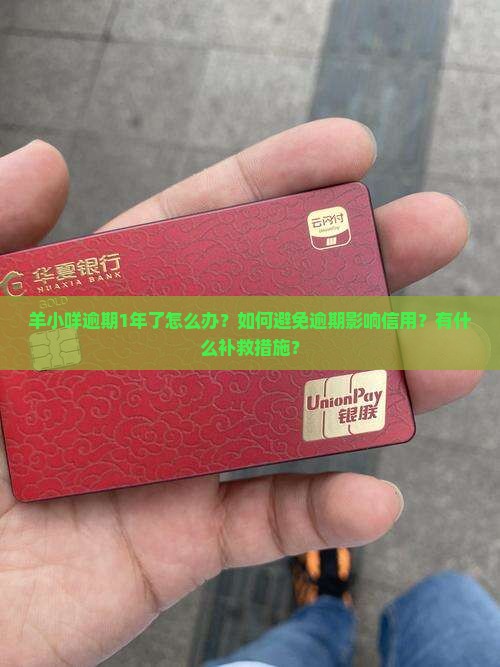 羊小咩逾期1年年了如何处理