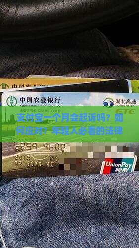 支付宝一个月会起诉吗怎么应对