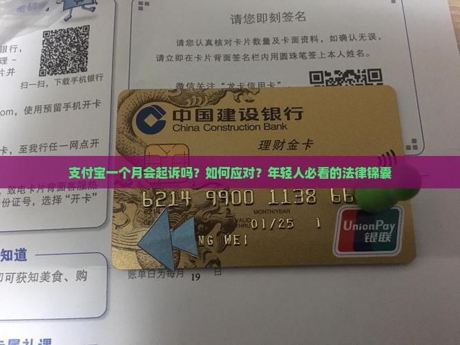 支付宝一个月会起诉吗怎么应对