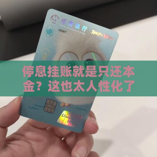 停息挂账意思是只还本金吗