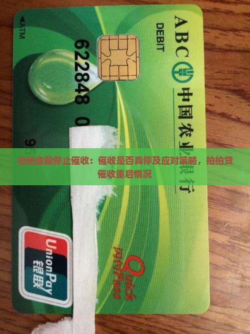 拍拍金融停止催收