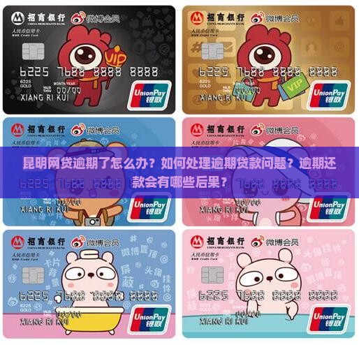 网贷逾期昆明应该怎么办