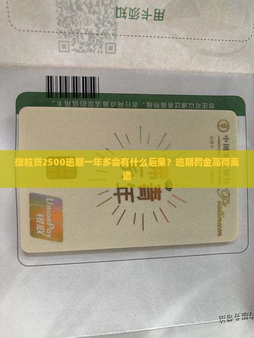 微粒贷2500逾期一年多会有什么后果