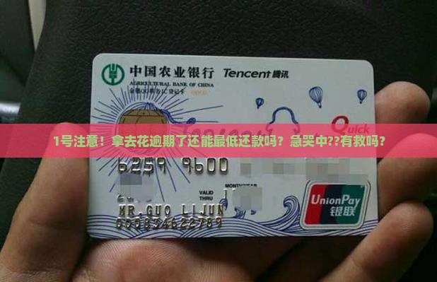 拿去花逾期了还能最低还款吗