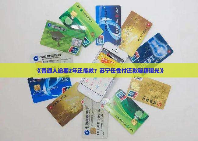 苏宁任性付逾期两年如何解决