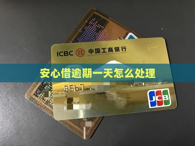 安心借逾期一天怎么处理