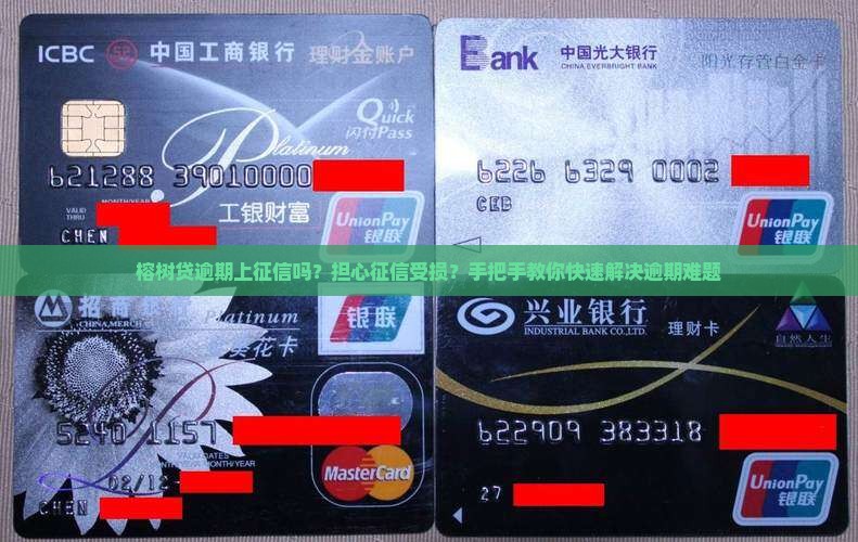 榕树贷逾期上征信吗怎么办理