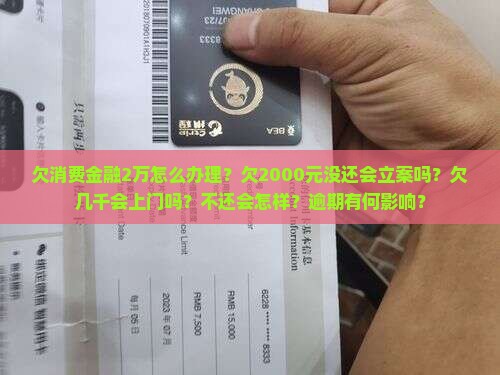 欠消费金融2万怎么办