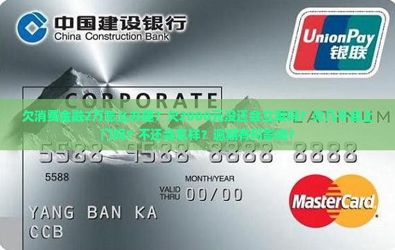 欠消费金融2万怎么办