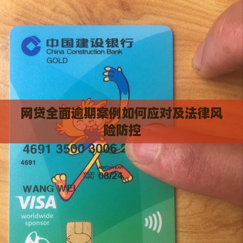 网贷全面逾期案例如何应对
