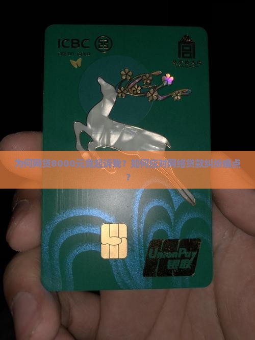 网贷8000块钱起诉我了怎么办
