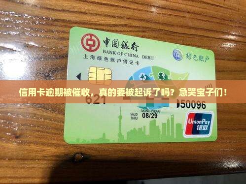信用卡短信催收要起诉吗