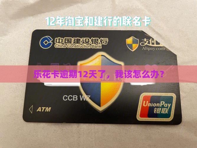 乐花卡逾期12天如何处理