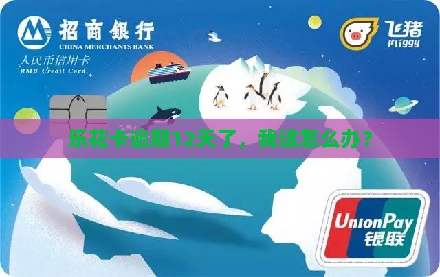 乐花卡逾期12天如何处理