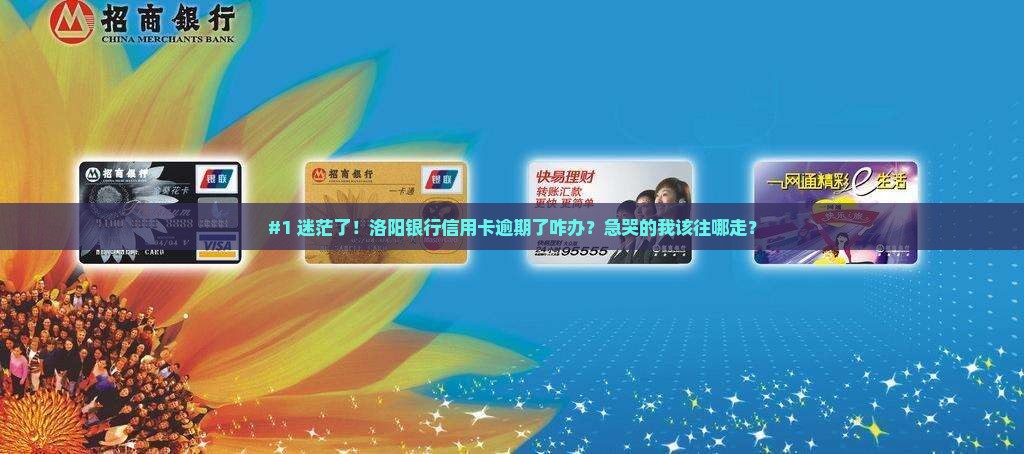 洛阳银行信用卡逾期协商流程详解