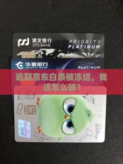 京东白条逾期后被停用了怎么办