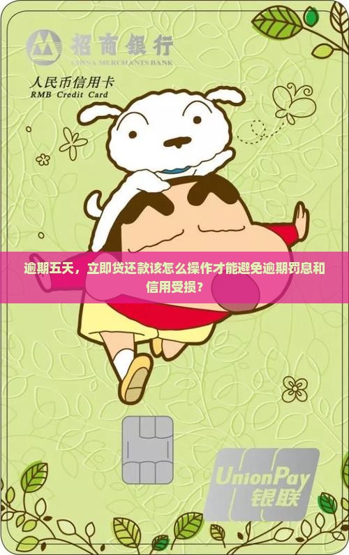立即贷逾期五天了应该怎么处理