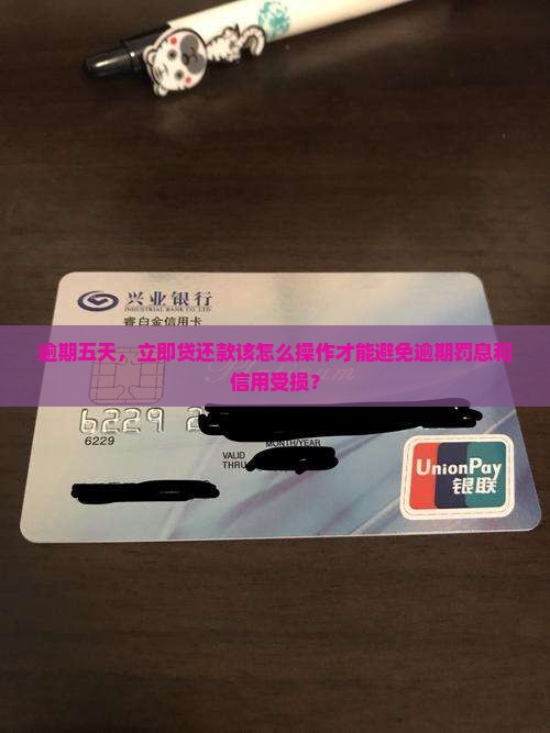 立即贷逾期五天了应该怎么处理