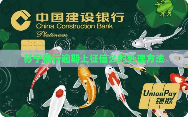 苏宁银行逾期上征信么的处理方法