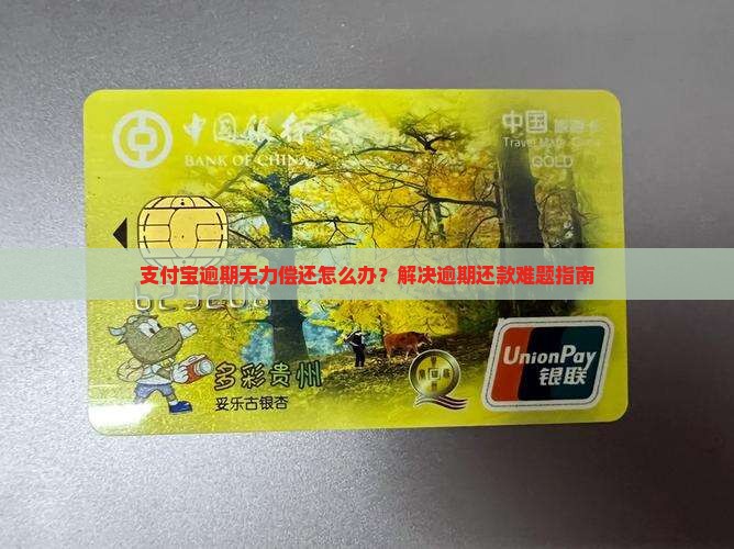 支付宝逾期无法全部偿还怎么办