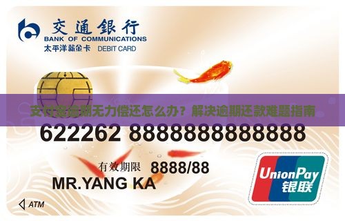 支付宝逾期无法全部偿还怎么办
