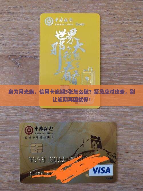 办理多张信用卡逾期如何处理