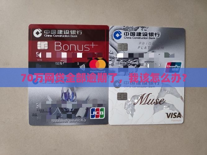 如何应对网贷70万全面逾期