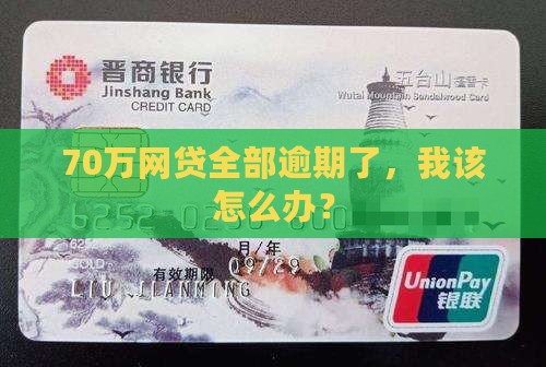 如何应对网贷70万全面逾期