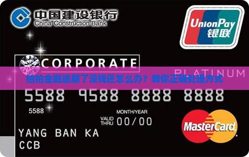 拍拍金融借款没能力还款怎么办