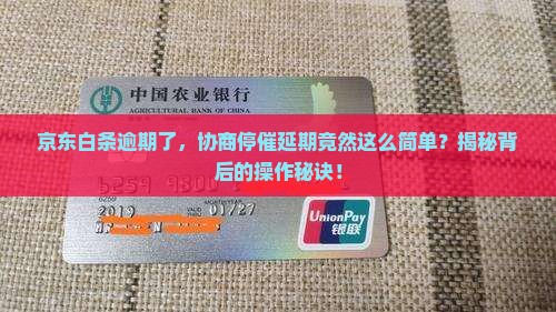 京东白条逾期协商停催延期流程解析