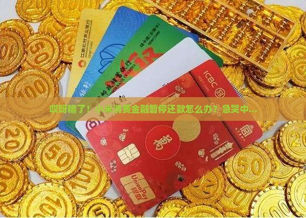 小米消费金融暂停还款该如何处理