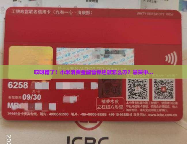 小米消费金融暂停还款该如何处理