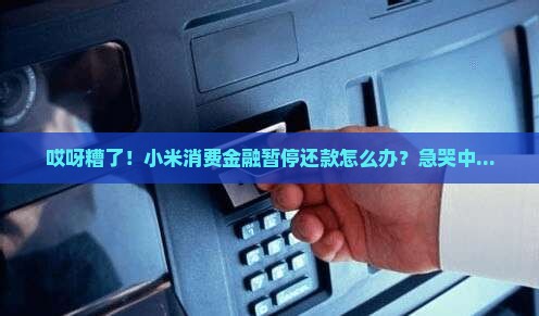 小米消费金融暂停还款该如何处理