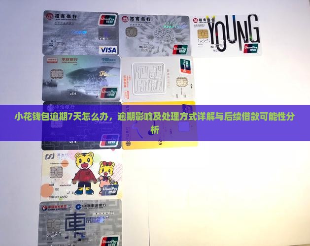 小花钱包逾期7天怎么办
