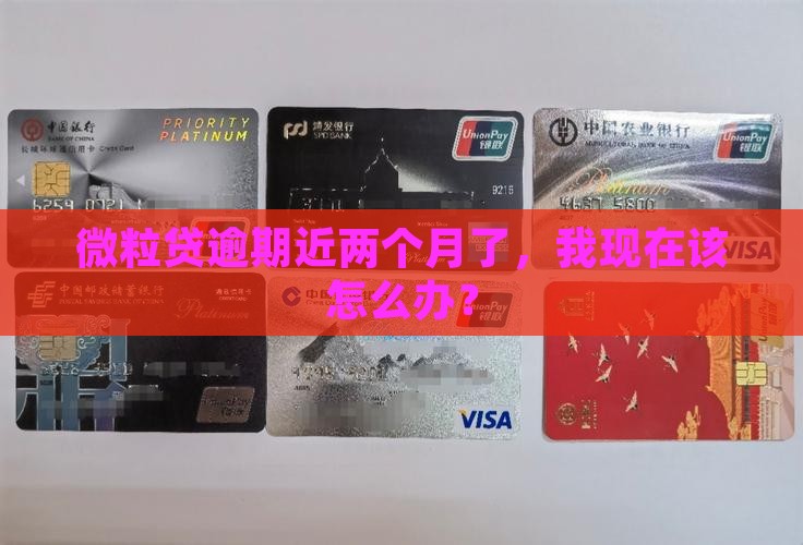 微粒贷逾期快二个月
