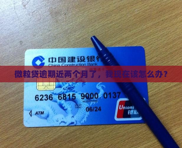 微粒贷逾期快二个月