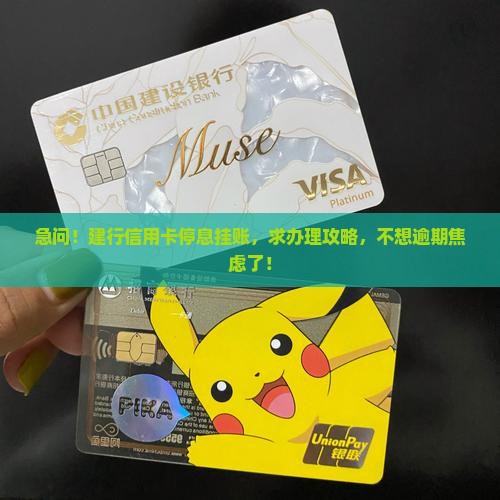 建行信用卡怎么停息挂账如何办理
