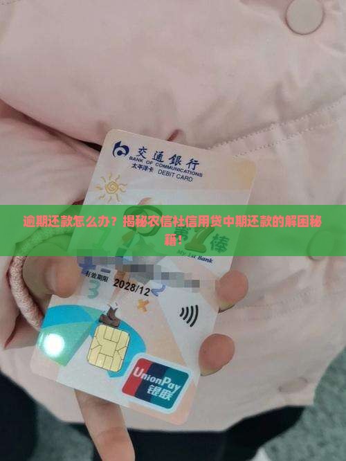 农信社信用贷中期还款逾期处理方法